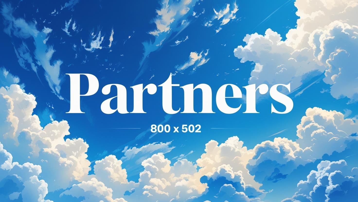 Partner 3